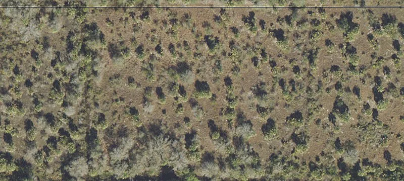 Vacant Commercial Land Parcel