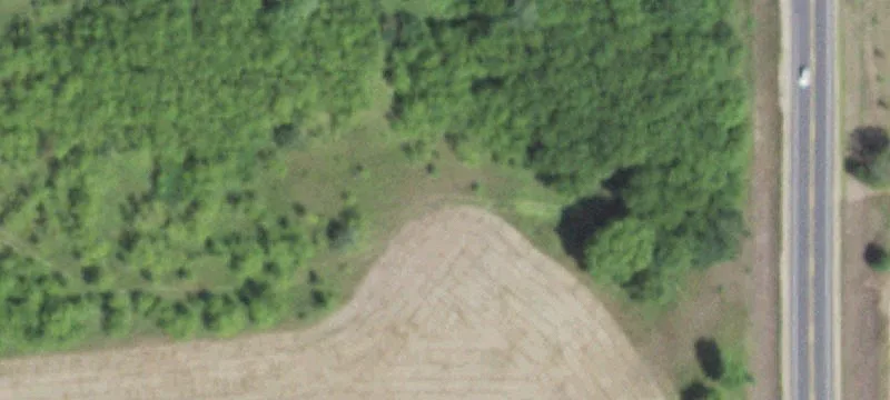 Wooded Land Parcel for Development