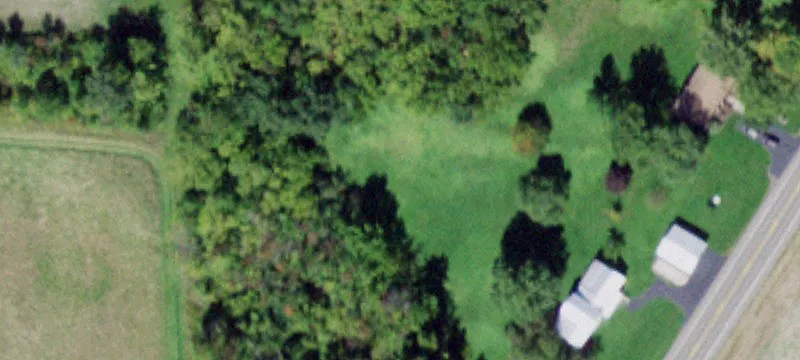 Developable Acreage with Young Orchard