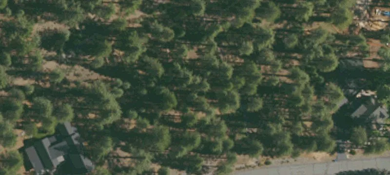 Wooded Mountain Homesite Land