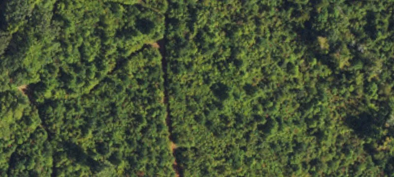Wooded Land Development Tract