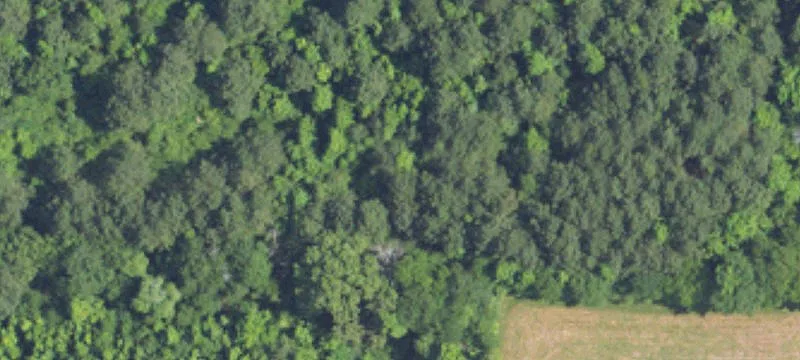 Build-Ready Residential Lot
