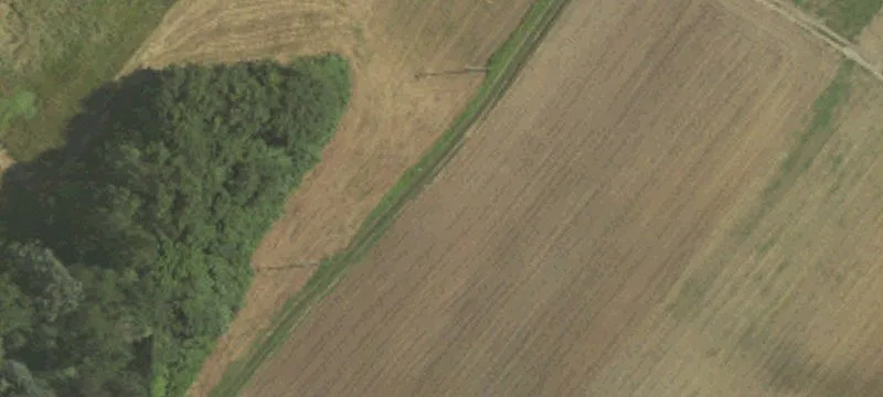 Hunting and Farmland Homestead