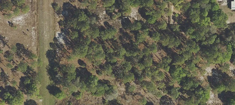 Commercial Land with Existing Driveway