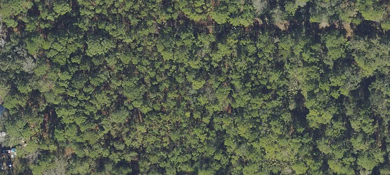 Residential Land with Two Lots