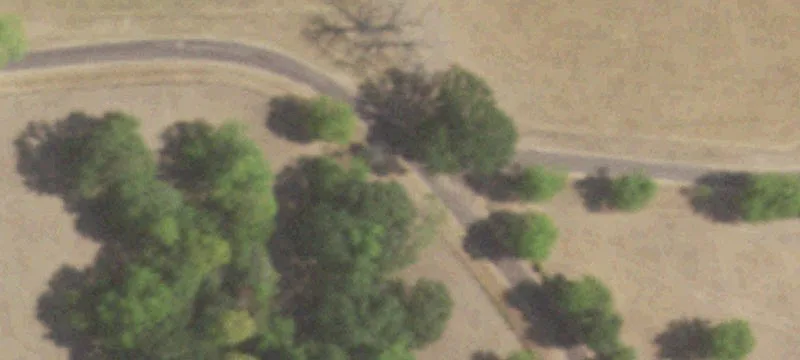 Improved Pasture Ranch Land