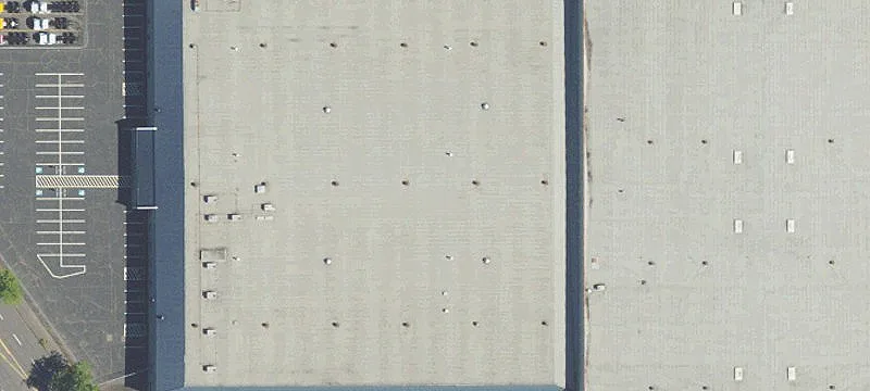 Showroom with Grade-Level Door