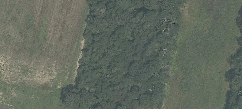 Wooded Residential Land Parcel