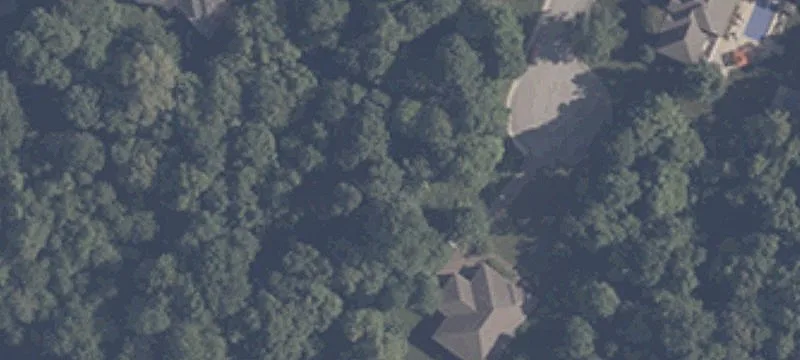 Treed Residential Development Lot