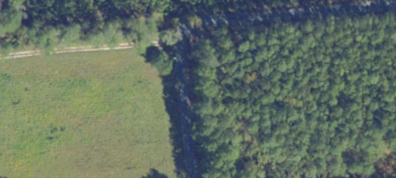 Wooded Hunting Land Parcel