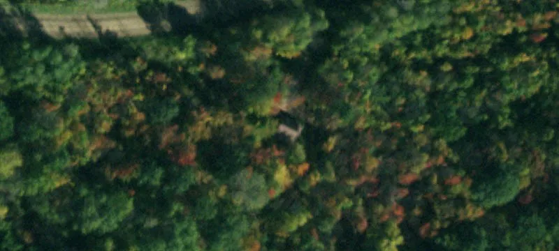 Furnished Cabin Lot in the Woods