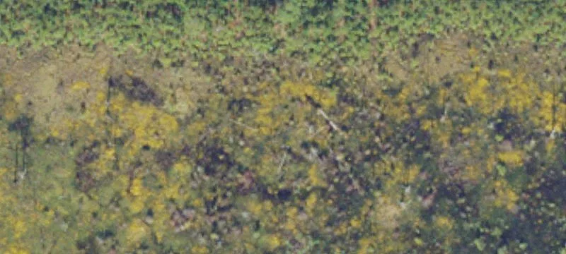 Recreational Hunting Land Tract