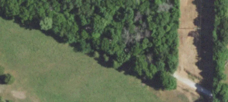 Waterfront Hunting Land