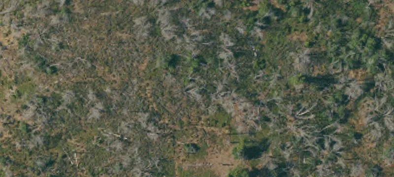 Secluded Acreage Homesite Parcel