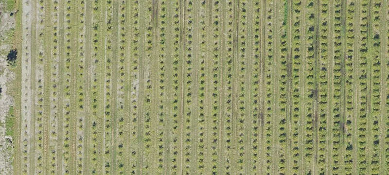 Subdivided Residential Acreage Parcels