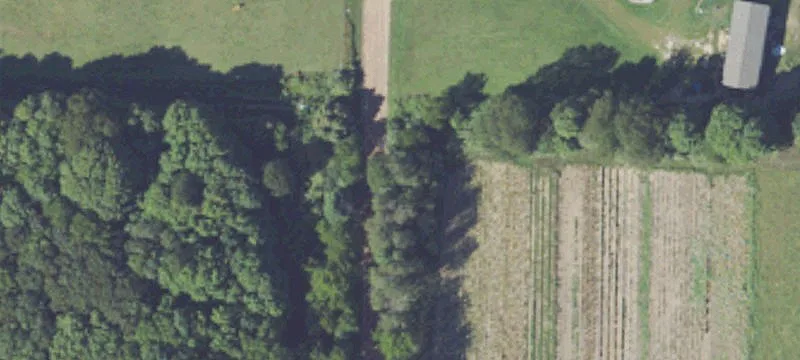 Recreational Farm with Pond
