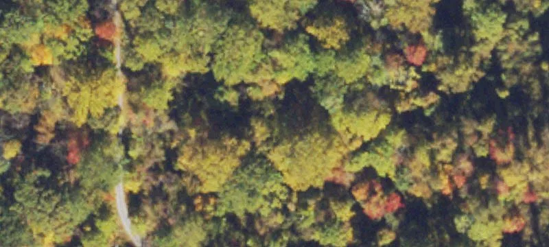 Wooded Residential Development Land