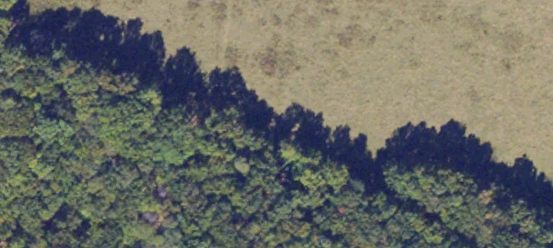 Wooded Building Lot