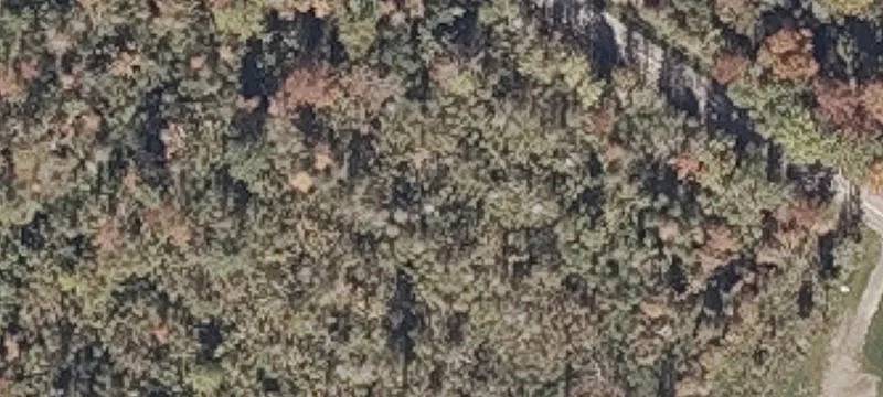 Wooded Residential Building Lot