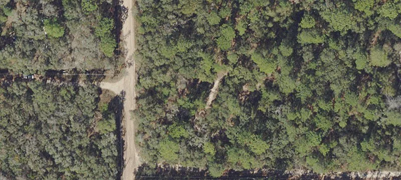 Wooded Residential Land Lot
