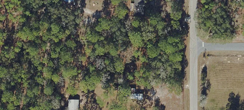 Residential Home Lot with Mature Trees