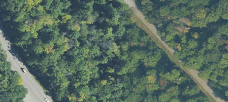 Wooded Residential Land Parcels