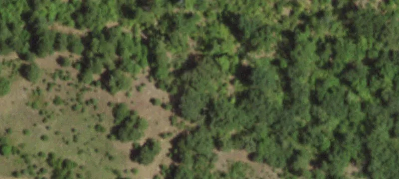 Wooded Hunting Land Tract