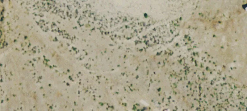 Waterfront Land Parcel