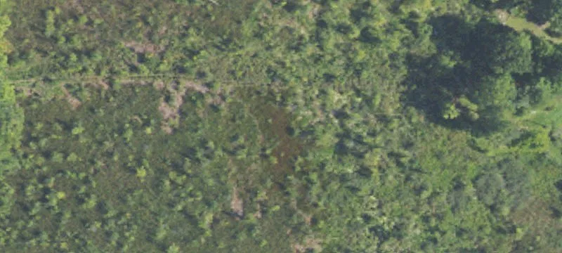 Hunting Land and Home Build Site