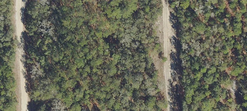 Wooded Residential Lot