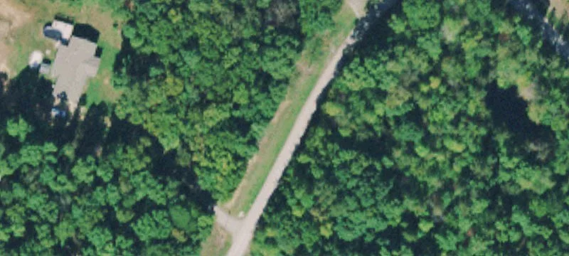 Wooded Cabin-Ready Land Lot