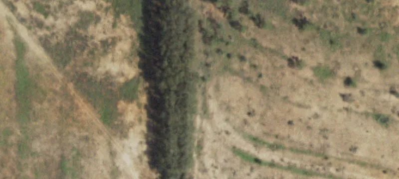 Agricultural Land with Ranch Home