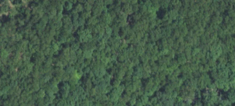 Residential Development and Hunting Land