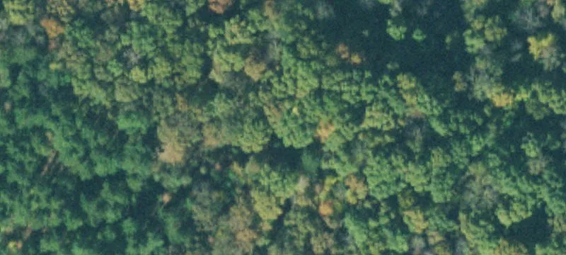 Recreation Community Lake Lot