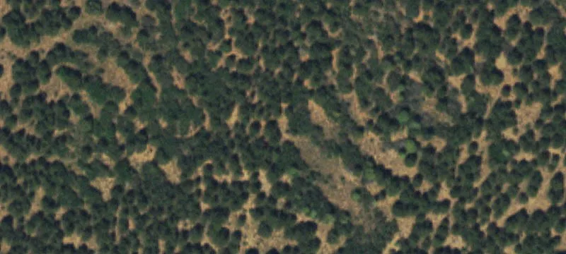 Wooded Hunting Acreage
