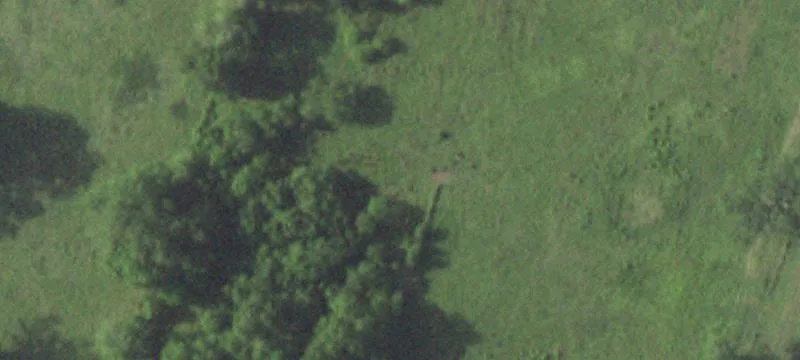 Unrestricted Land with Creek