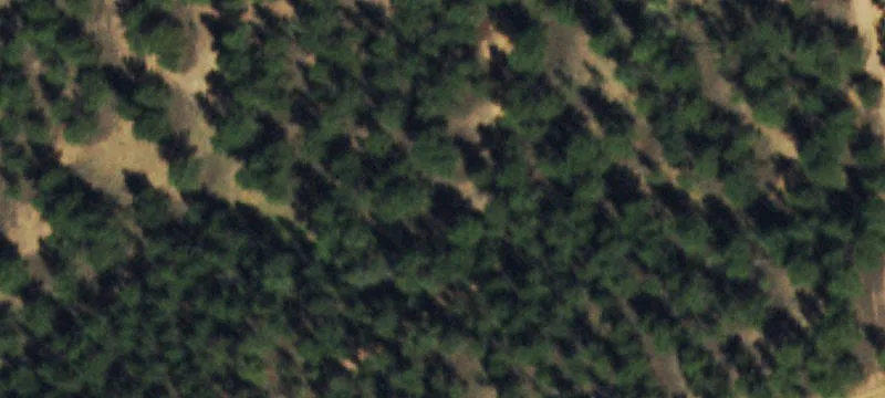 Residential Land with Build Sites