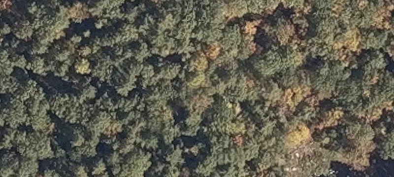 Wooded Residential Development Land