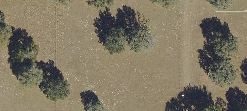 Gated Estate Homesite Lot