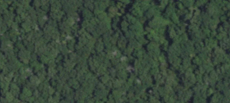 Buildable Lot in Resort Community