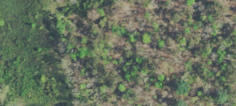 Cleared Mountain View Home Site
