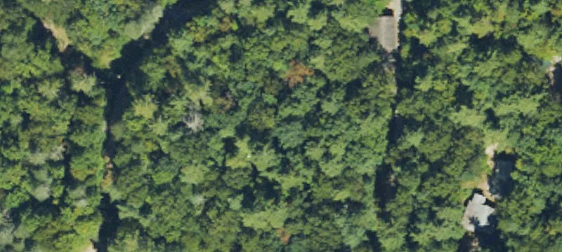 Adjoining Mountain Cabin Lots