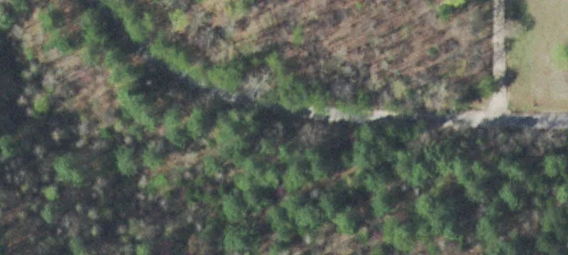 Unrestricted Wooded Land Parcel