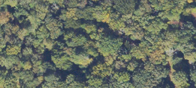 Build-Ready Estate Homesite