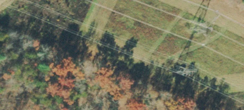 Unrestricted Acreage Development Land