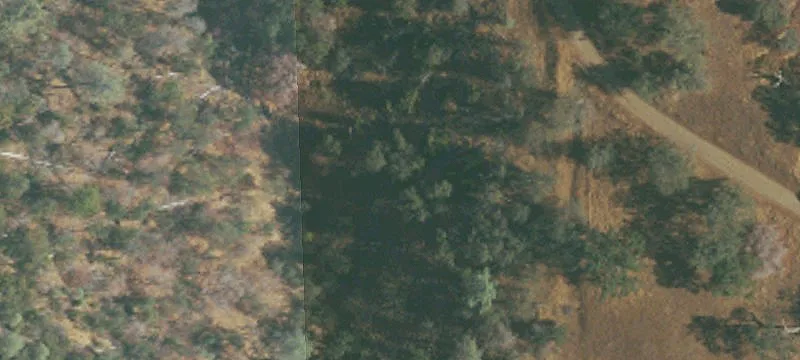 Steep Land with Creek