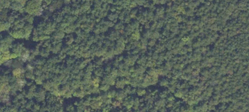 Fully Wooded Residential Recreation Tract