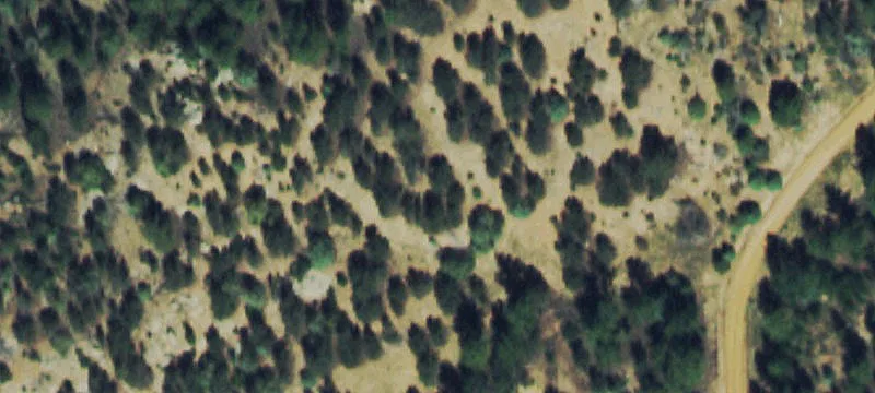Wooded Mountain Home Lot