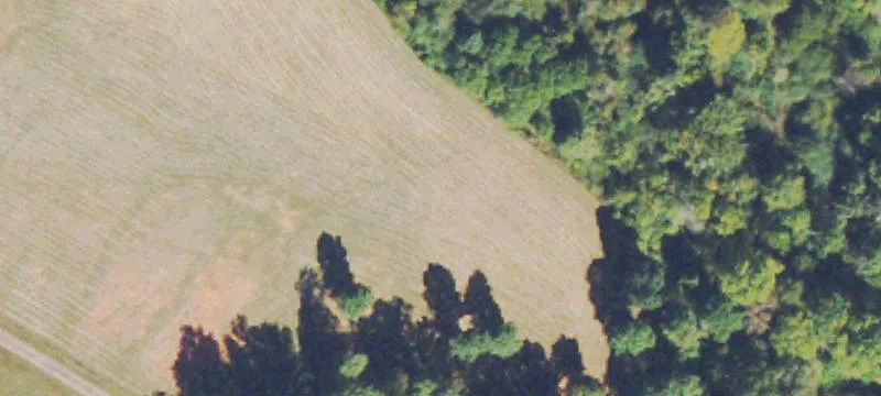 Recreational Farm with Creek Frontage