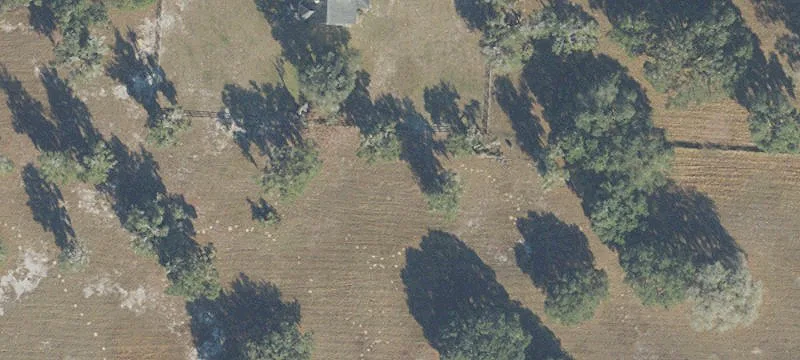 Horse and Livestock Ranch with Pastures